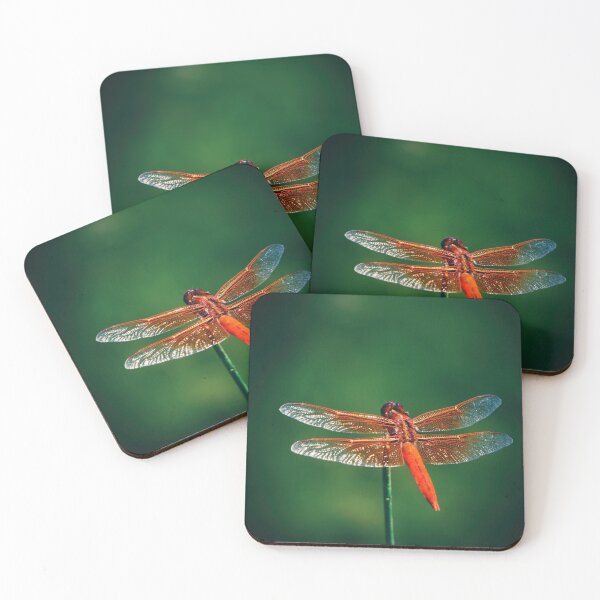 Item preview, Dragonfly Portrait designed and sold by drxgonfly.