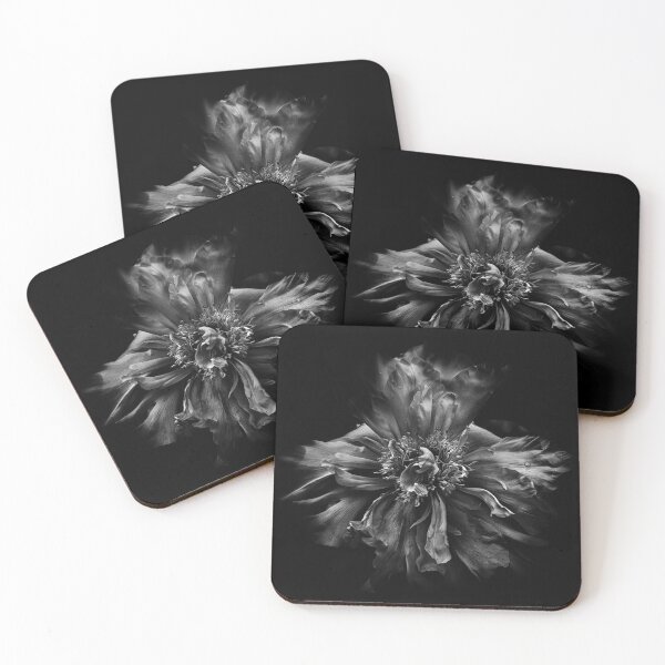 Item preview, Backyard Flowers In Black And White 49 designed and sold by The Learning Curve Photography.