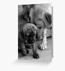 Encouragement Greeting Card