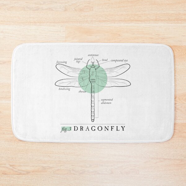 Item preview, Fig. 3 Anatomy of a Dragonfly designed and sold by MudAndMarrow.