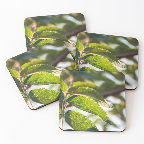Item preview, Sharp Summer Leaves designed and sold by phoenixlite.