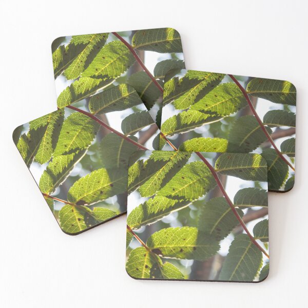 Item preview, Leaves of a Dogberry Tree designed and sold by phoenixlite.