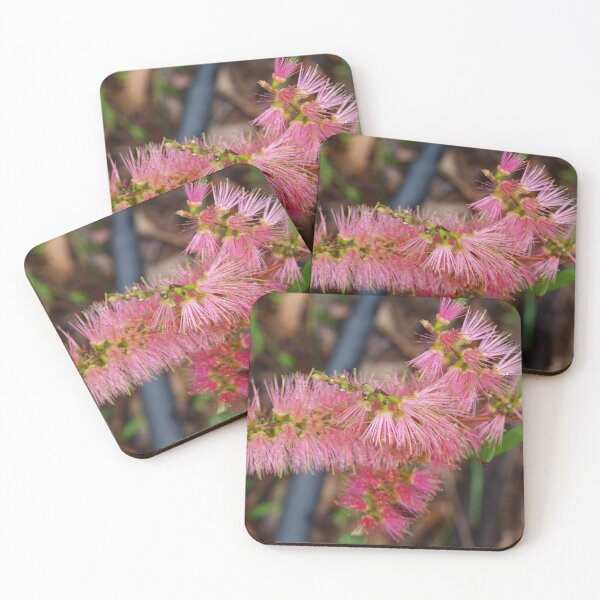Item preview, Pink Callistamon  designed and sold by ginnymac.
