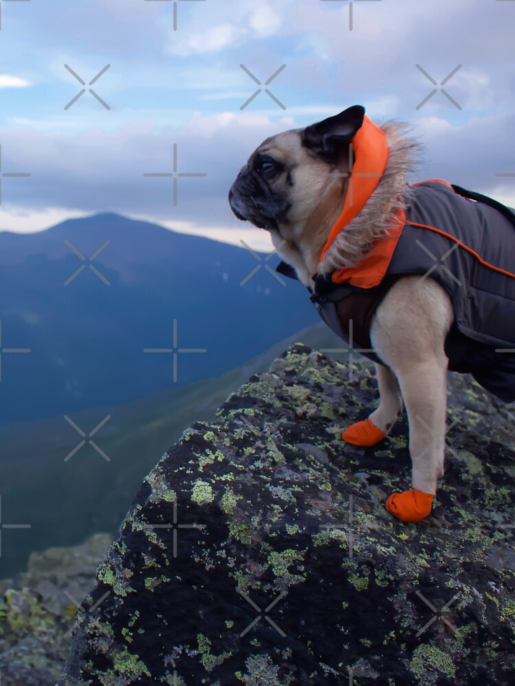 The mountain outlet pug shirt