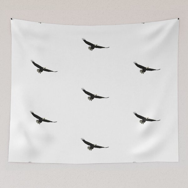 Item preview, Bald eagle soaring designed and sold by Zina Stromberg.