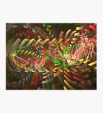 Streamers Photographic Print