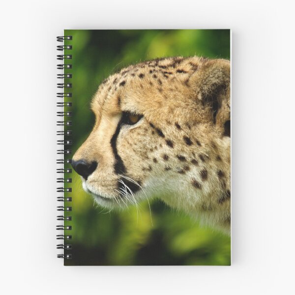 Item preview, Cheetah designed and sold by Stephen Beattie.