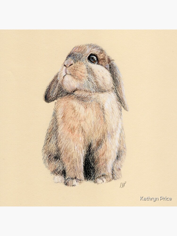 Cute Little Peter Rabbit by KathrynKathryn
