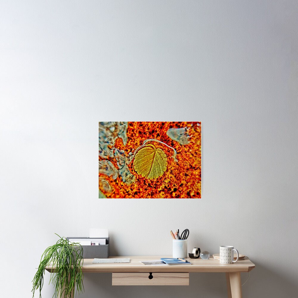 Floating Leaf Poster