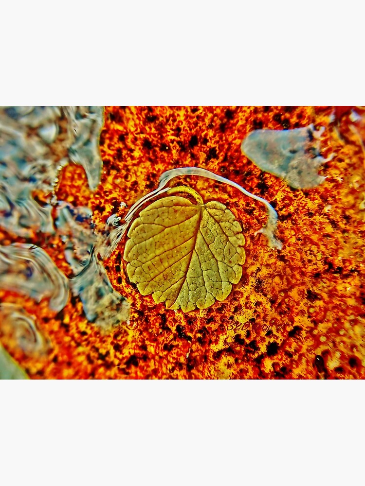 Floating Leaf by 32DARTS