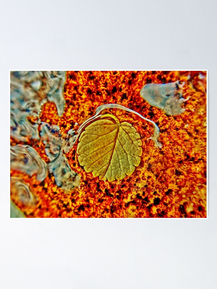 Alternate view of Floating Leaf Poster