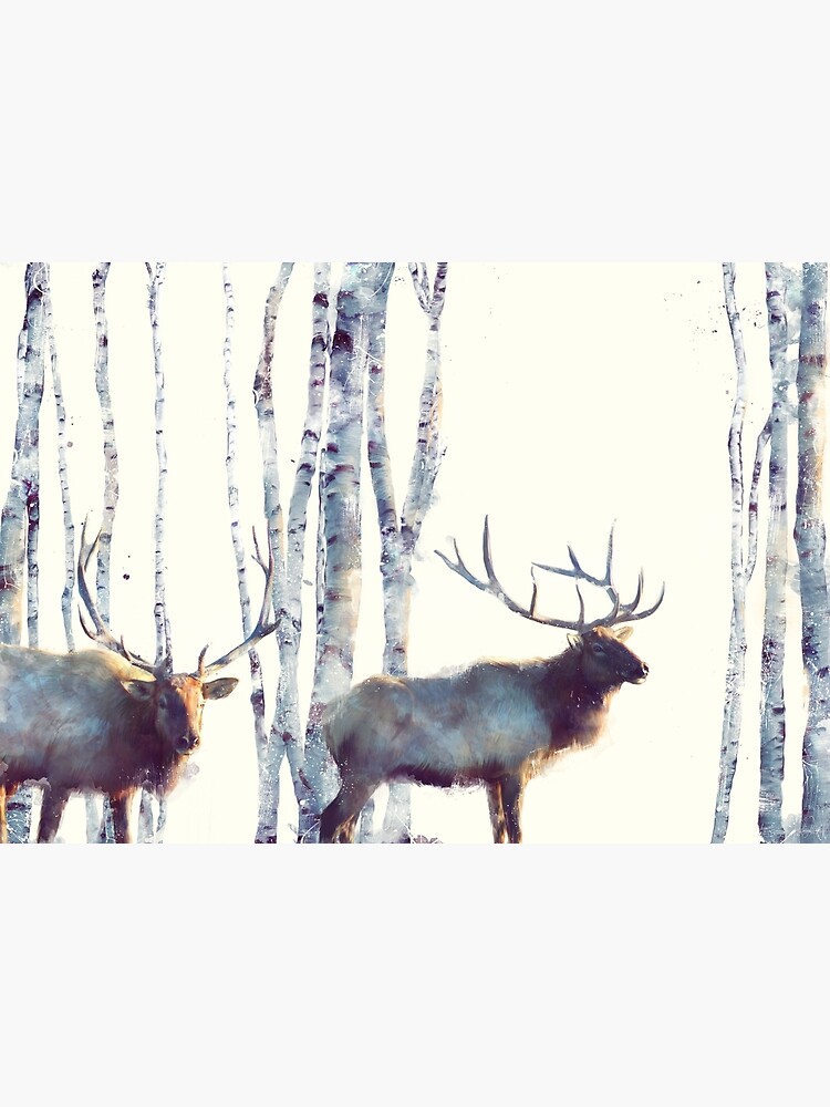 Thumbnail 3 of 3, Canvas Print, Follow designed and sold by Amy Hamilton.
