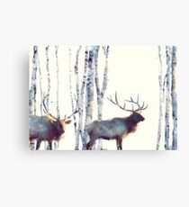 Follow Canvas Print