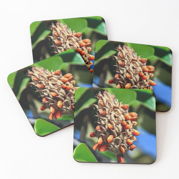 Item preview, Magnolia Seed Pod Dispensing Seeds designed and sold by heatherfriedman.