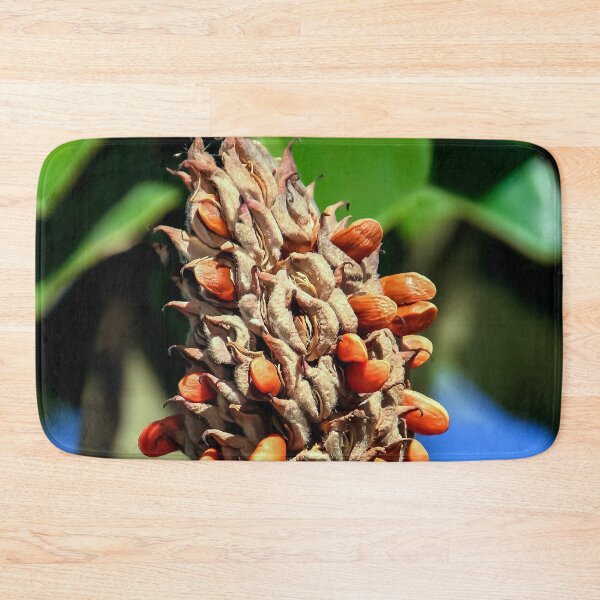 Item preview, Magnolia Seed Pod Dispensing Seeds designed and sold by heatherfriedman.