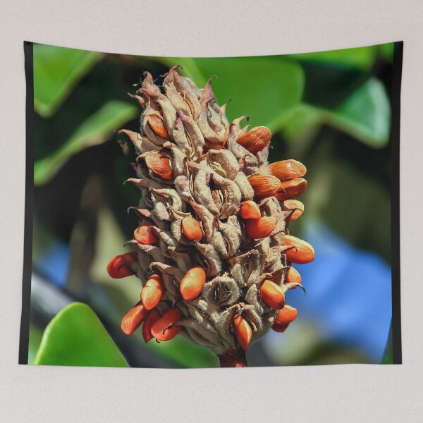 Item preview, Magnolia Seed Pod Dispensing Seeds designed and sold by heatherfriedman.