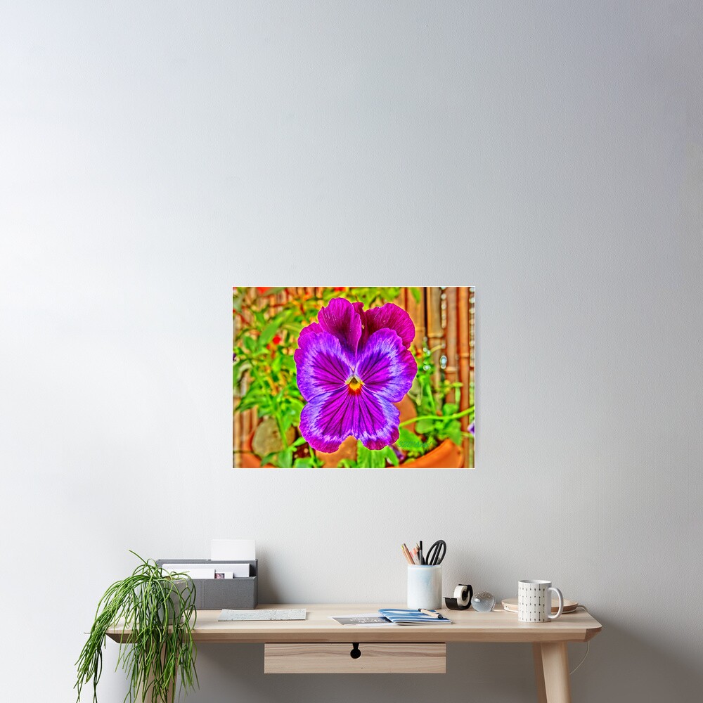Kissy Viola Poster