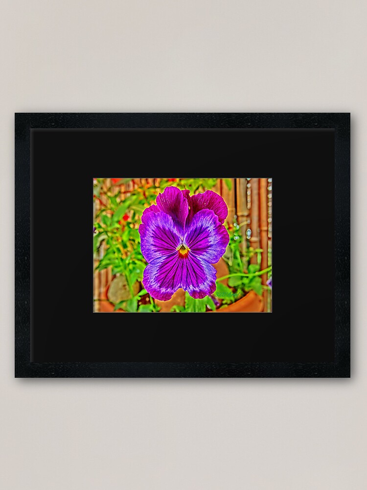 Alternate view of Kissy Viola Framed Art Print