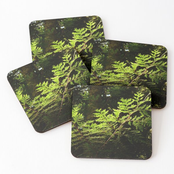 Item preview,  Glistening Boughs  designed and sold by Elaine Bawden.