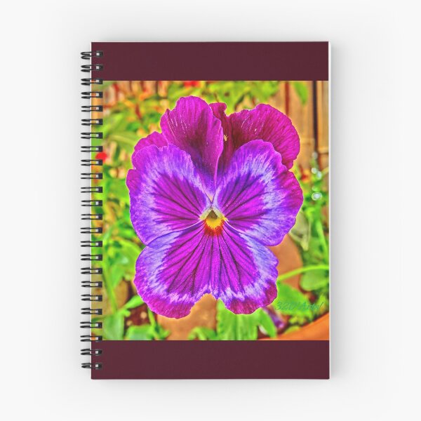 Item preview, Kissy Viola designed and sold by 32DARTS.