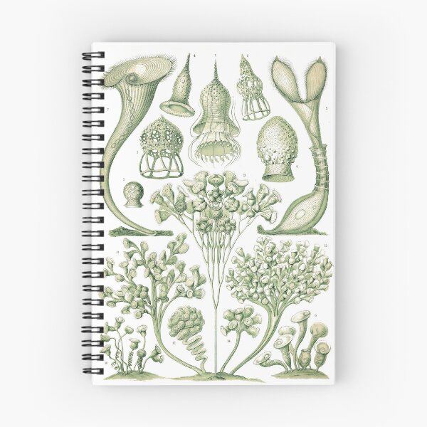 Item preview, Plate 03. Ciliata. Complex single-celled organisms. designed and sold by Squirrox.