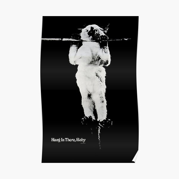 Hang in there, baby original poster from the 70s Poster
