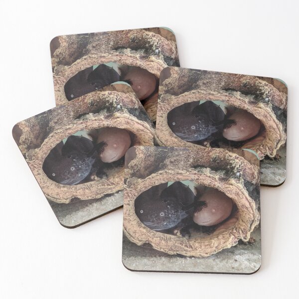 Item preview, Two Axolotls sitting in a log designed and sold by jentiger.