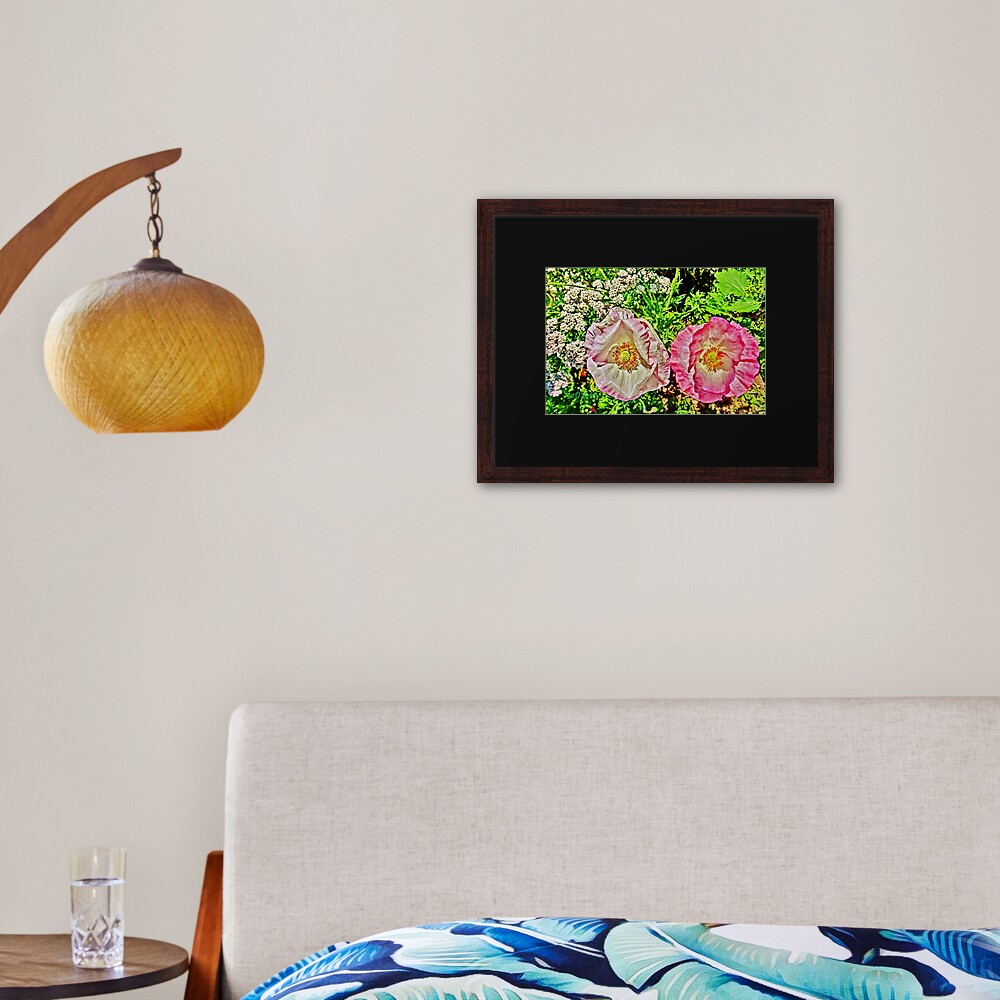 Wide Eyed Poppies Framed Art Print