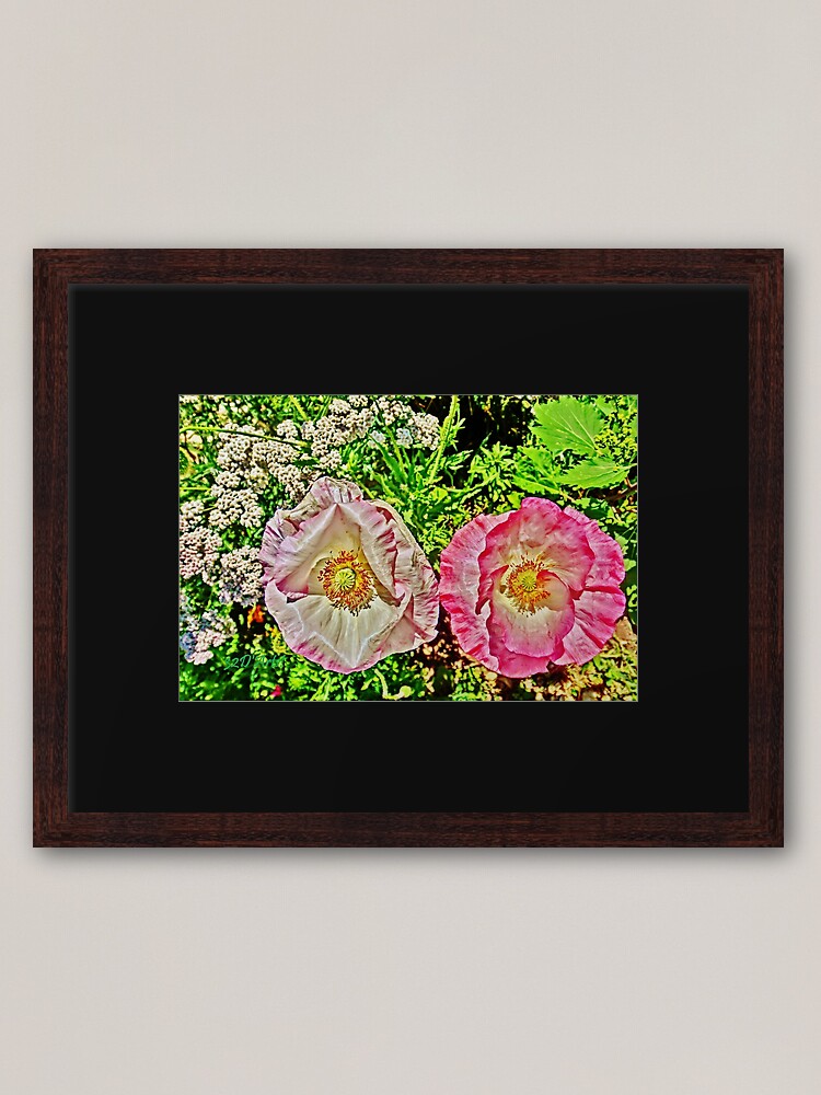 Alternate view of Wide Eyed Poppies Framed Art Print
