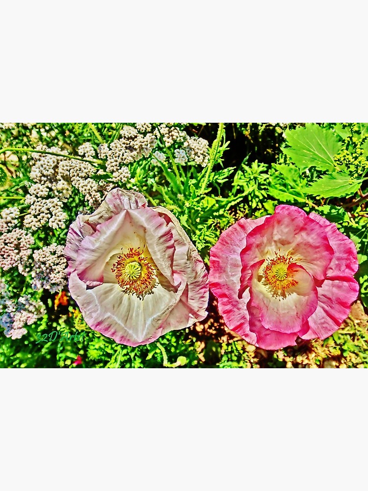 Wide Eyed Poppies by 32DARTS