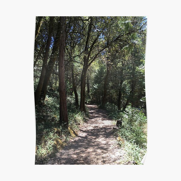 nature trail posters redbubble