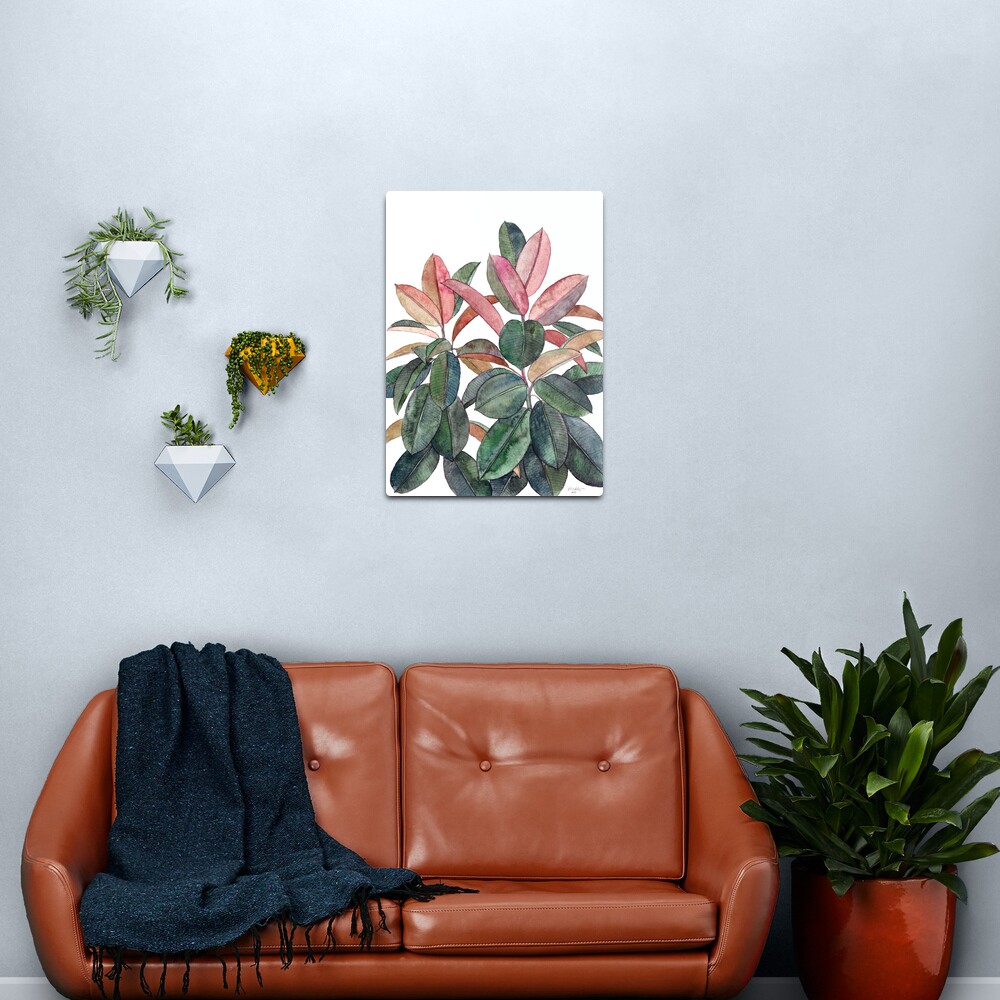 Rubber Plant Metal Print
