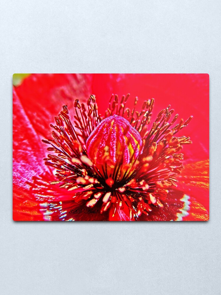 Alternate view of Poppy Dome Metal Print