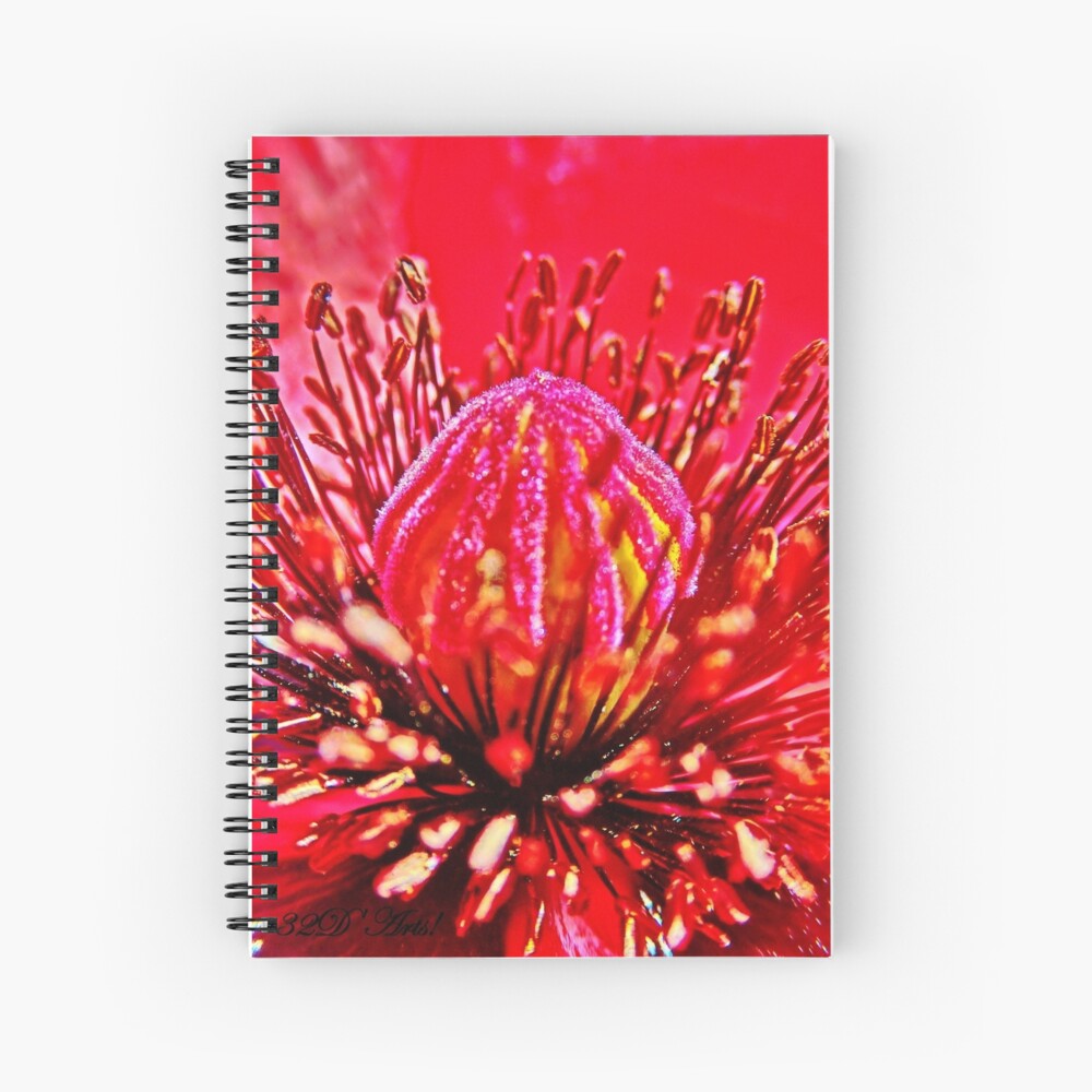 Poppy Dome Spiral Notebook