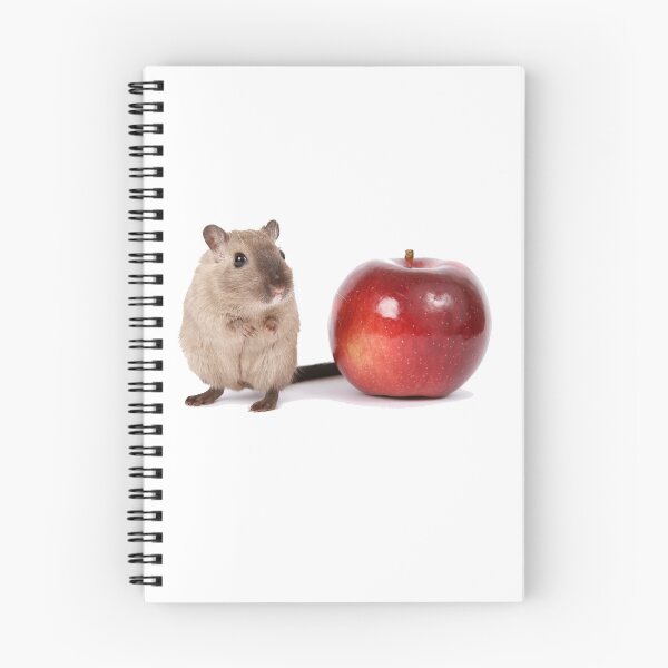 Item preview, Teacher's Pet - Cute Mouse - T-Shirt Sticker designed and sold by deanworld.