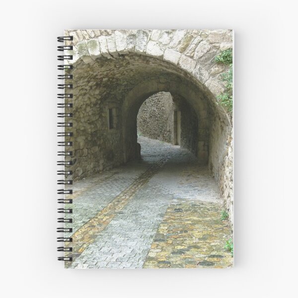 Item preview, Ancient walls and alleys. designed and sold by Trish Meyer.