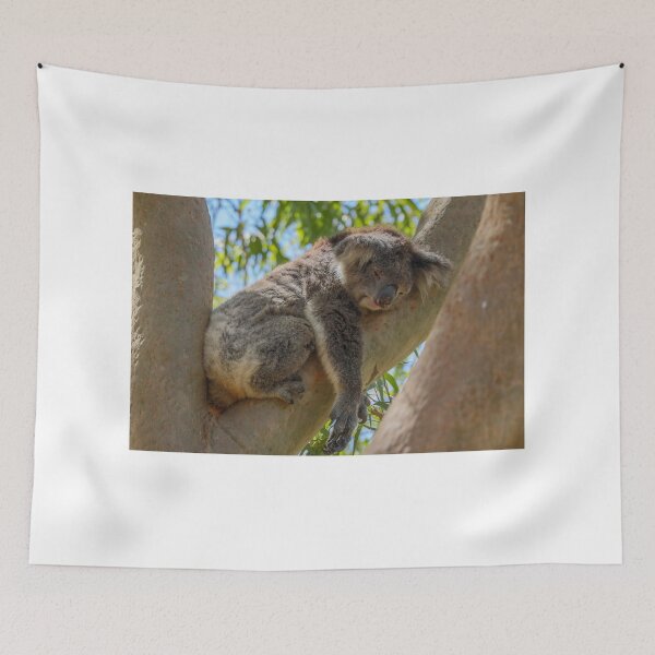 Item preview, Sleeping Koala designed and sold by DPalmer.