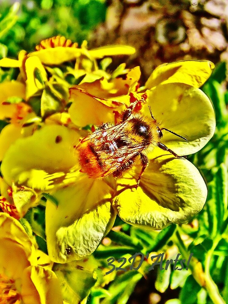 Elusive Bee by 32DARTS