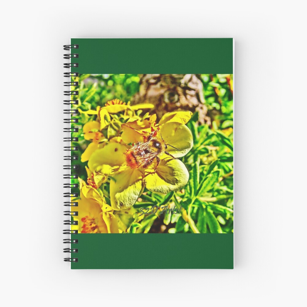 Elusive Bee Spiral Notebook