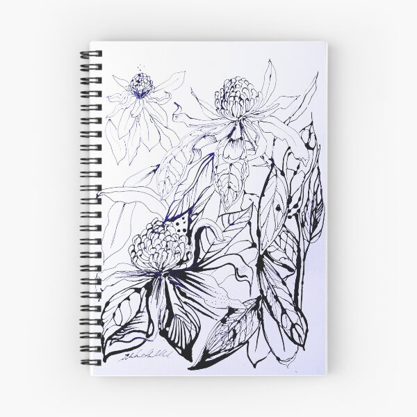 Item preview, Australian Waratah flowers in sumi ink designed and sold by Liz HL Art Shop.