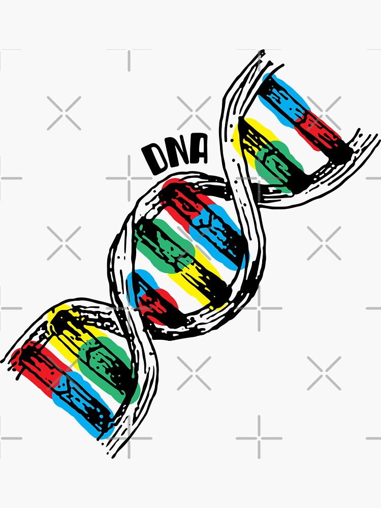 What Are The Building Blocks Of Dna And Rna Quizlet