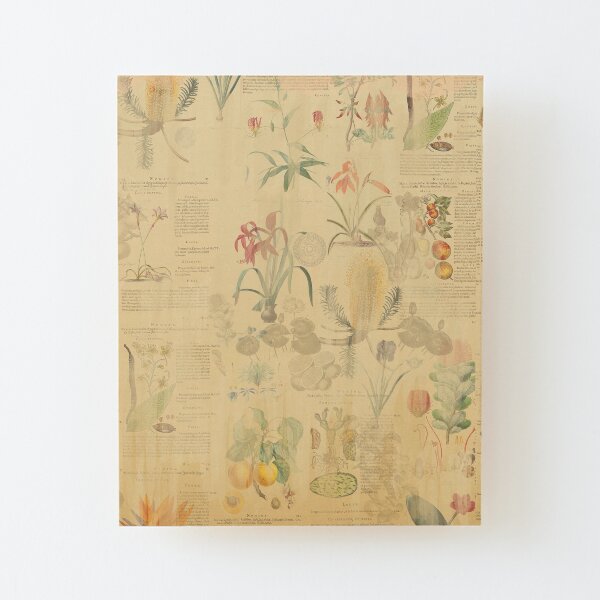 Historic botany Wood Mounted Print