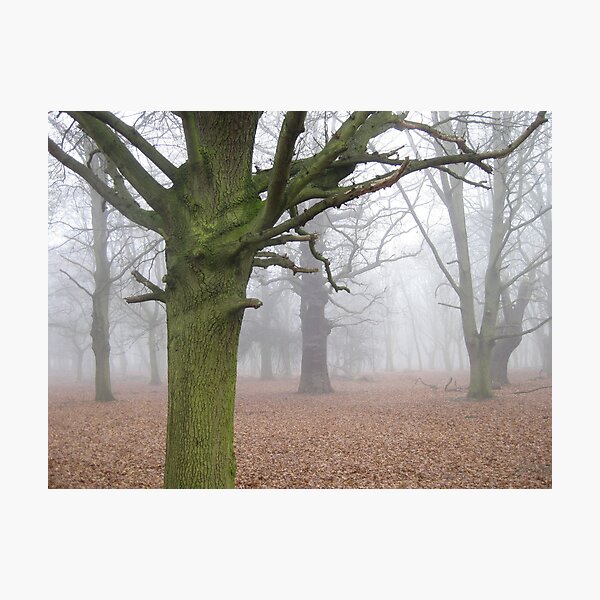 Item preview, Richmond park designed and sold by Jeremy Wallace.