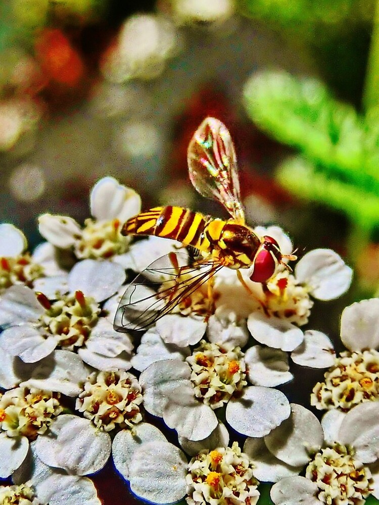 Meet the Pollinators, No.1 by 32DARTS