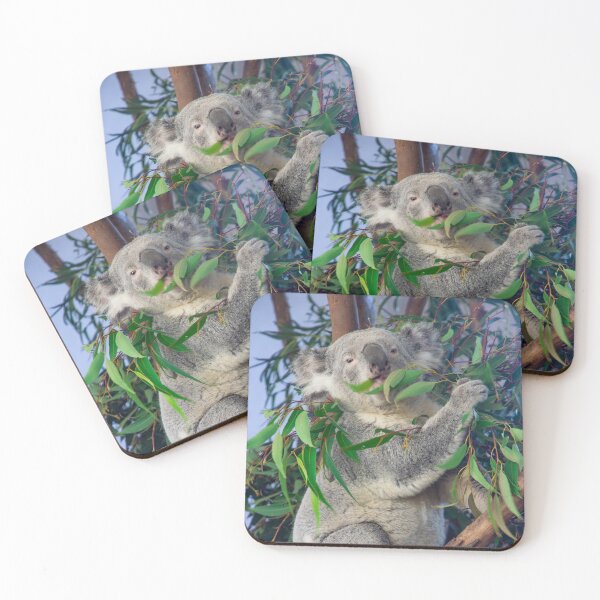 Item preview, Koala eating Eucalyptus designed and sold by Brooke Ottley.
