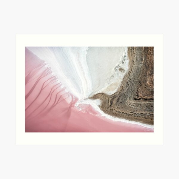 Kati Thanda: Taking Flight Art Print