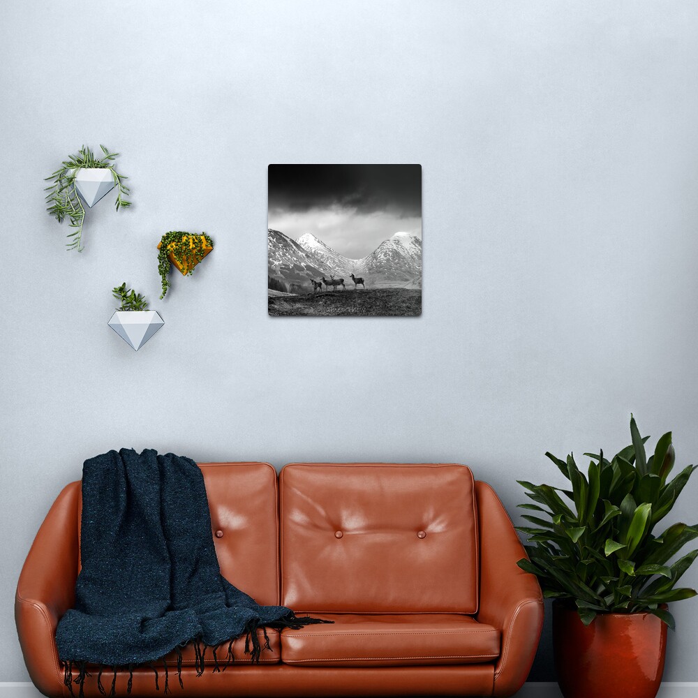 In the hills Metal Print