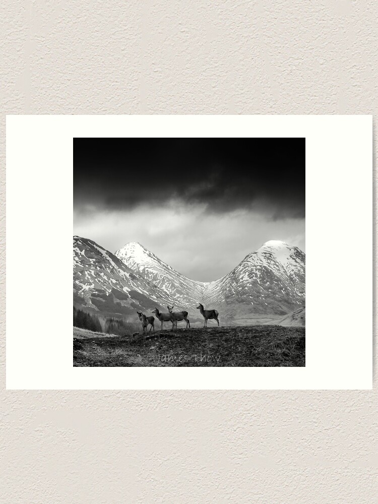 Alternate view of In the hills Art Print