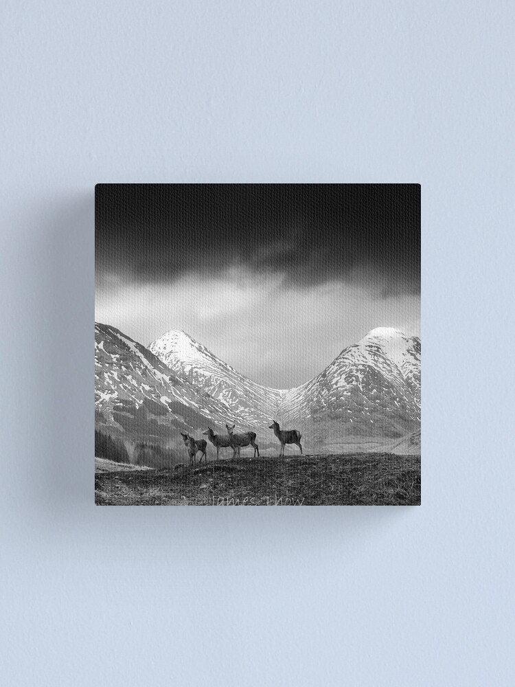 Alternate view of In the hills Canvas Print