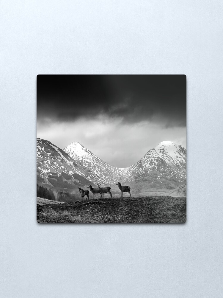Alternate view of In the hills Metal Print